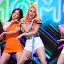 뿜뿜#