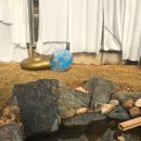 포레스트 랩(FOREST LAB) 이미지