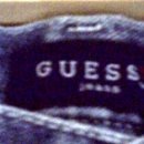 게스(GESS)
