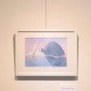 그림책으로 소통 | [개인전] 은봄 작가의 그림책 원화 전시 &lt;오래도록 함께&gt; 후기