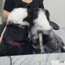 더조은 네일