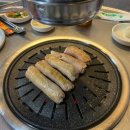 대구꽃돼지생막창 | 대구 원대동 맛집| 꽃돼지숯불막창 내돈내산 후기