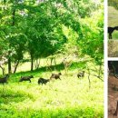 소로3-123 이미지