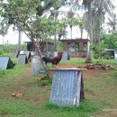 해구농장 이미지