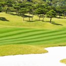 엠에스골프클럽 이미지