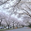 보문관광단지 이미지