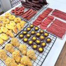 스타견 | 펫푸드 취미반 수업후기 전북 고창 스타견 공방 애견간식