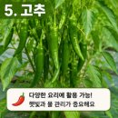 심기보농장 네이버블로그