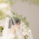 델라젬 이미지