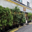 화원산업 | 군자역 맛집 6casa 육까사 육즙 포텐 터지는 돼지세트 저녁후기