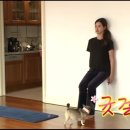 고고포차