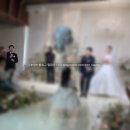 영상뮤직 | 본식 후기 | 결혼식 전문사회자 베스트뮤직 주민호 사회자 (진행 영상 有)