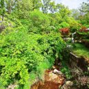 명암약수터 이미지