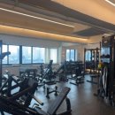 뭉트니스 이미지