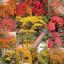 설악산국립공원(흘림골~주전골) 이미지