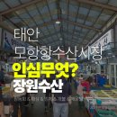 먹방 | 태안 모항항수산시장 장원수산 참돔회 캠핑 먹방 후기