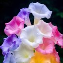 모두건강 이미지