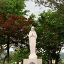 필립보농장 이미지