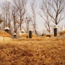 이인현선생묘 이미지