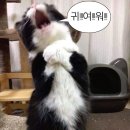 망향공원 공중화장실 | [공지] 수원 벚꽃 데이트 🌸 | 만석공원 2026 새빛축제