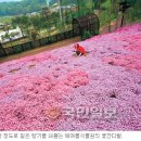 여주꽃식물원 네이버블로그