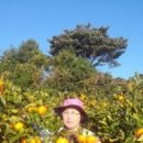 영현농장 이미지