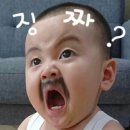 진빼이 식당