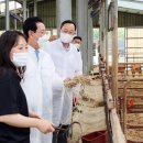 김영록농장 이미지