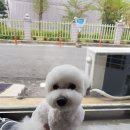 비비드그루밍 이미지