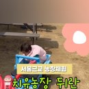 성인농장 이미지