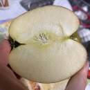 대간물농장 | 감홍사과란 수확시기 특징 보관법 맛 후기. 진짜 최고에요.