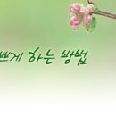 스스로고 Daum카페
