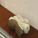 데이토나풀빌라 이미지