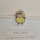 네일 디오스 | 부평 굴포천 네일디오스 여름 페디 솔직후기