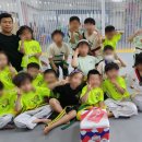 라이온즈 태권도장 이미지