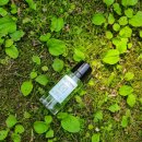 여름엔 초록빛으로 가득하게!: 르쿠방 아쿠아 밀레폴리아(LE COUVENT Aqua Millefolia) 그리너리한 비건...
