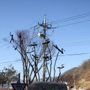 노일리(구룡밭) 네이버블로그