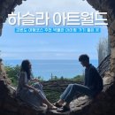 강원도 강릉 여행 코스 실내 전시 박물관 하슬라아트월드 후기