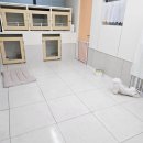 더펫살롱 이미지