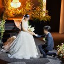 춘천택시(주) 이미지