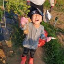 효기농장 이미지