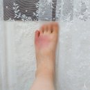 버그제로 119 | 지네 물려본 사람의 지네퇴치법, 제로버그 후기