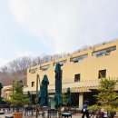 개인정애견샵 | 처인구카페 정그리다, 대형카페 식당 애견카페 심야까지 즐긴 솔직 후기