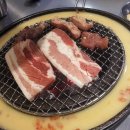 마포갈매기 이미지