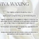비바왁싱VIVA WAXING