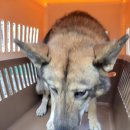 칠원119안전센터 이미지