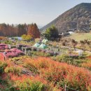 훈이네펜션 이미지