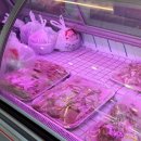 팔팔식육식당 | 대구 서구 맛집 평리동 욱수골 굴다리식육식당 후기