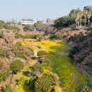 대평프라자 이미지