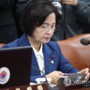 각계 각층에서 이제 독재를 향해 본격적으로 일어나기 시작헀다 (2) 이미지